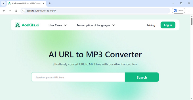 AceKits URL MP3 도구