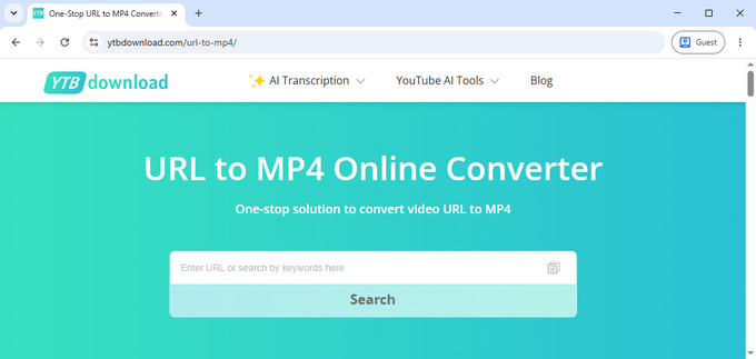 02 YTBDownload link to MP4 converter