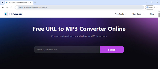 02 Hicoo URL to MP3 Converter