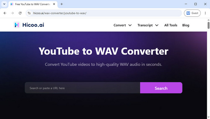 01 Cel mai bun convertor YouTube în WAV