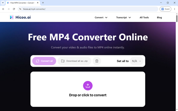 03 Hicoo Online MP4 Converter