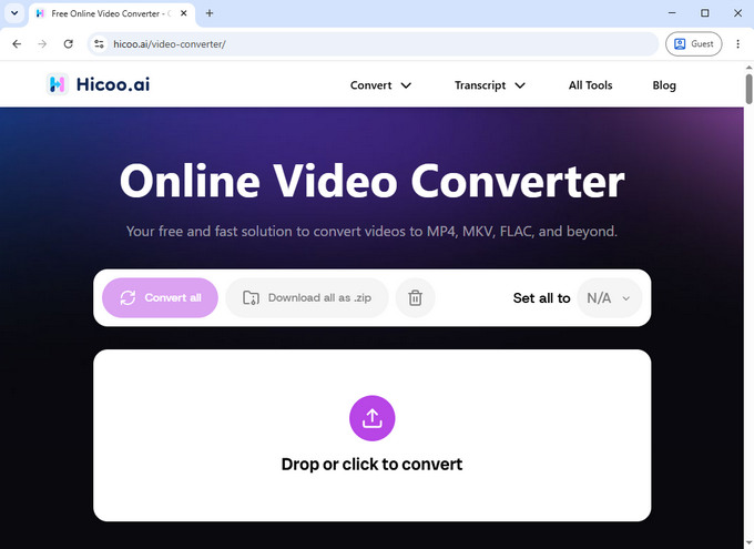 02 convertitore video online Hicoo