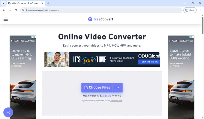03 convertitore video FreeConvert