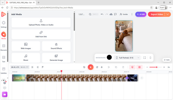 05 EchoWave YouTube video editor