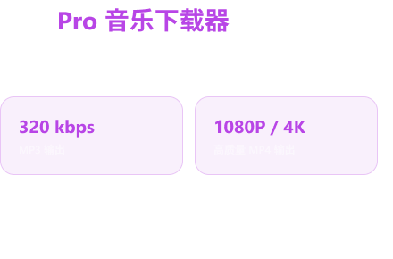 专业版功能